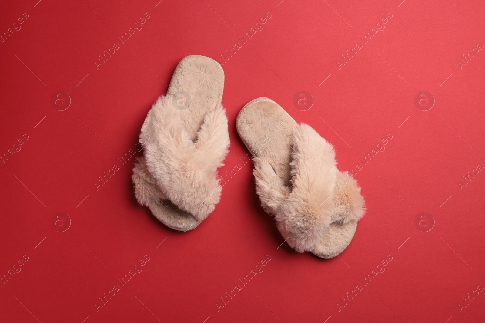 Photo of Pair of soft fluffy slippers on red background, top view