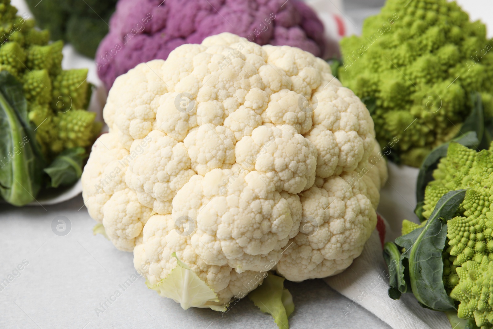 Photo of Different fresh cabbages on white table, closeup