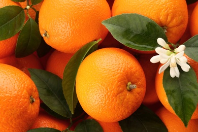 Photo of Fresh ripe oranges with green leaves and flower as background, top view