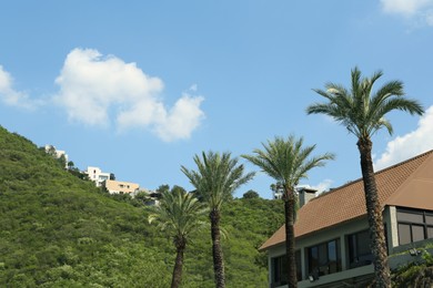 Photo of Beautiful palm trees and green mountains on sunny day