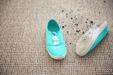 Pair of shoes with mud on carpet