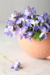 Photo of Beautiful wood violets in cup on light table, closeup. Spring flowers