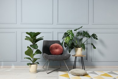 Photo of Comfortable armchair, pillows and green houseplants indoors