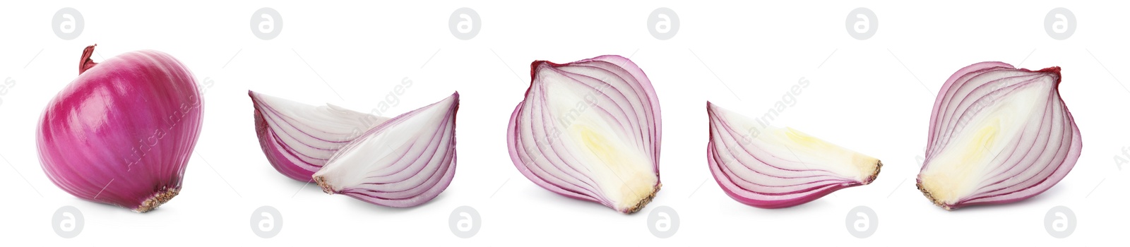 Image of Set of red cut and whole onion on white background. Banner design