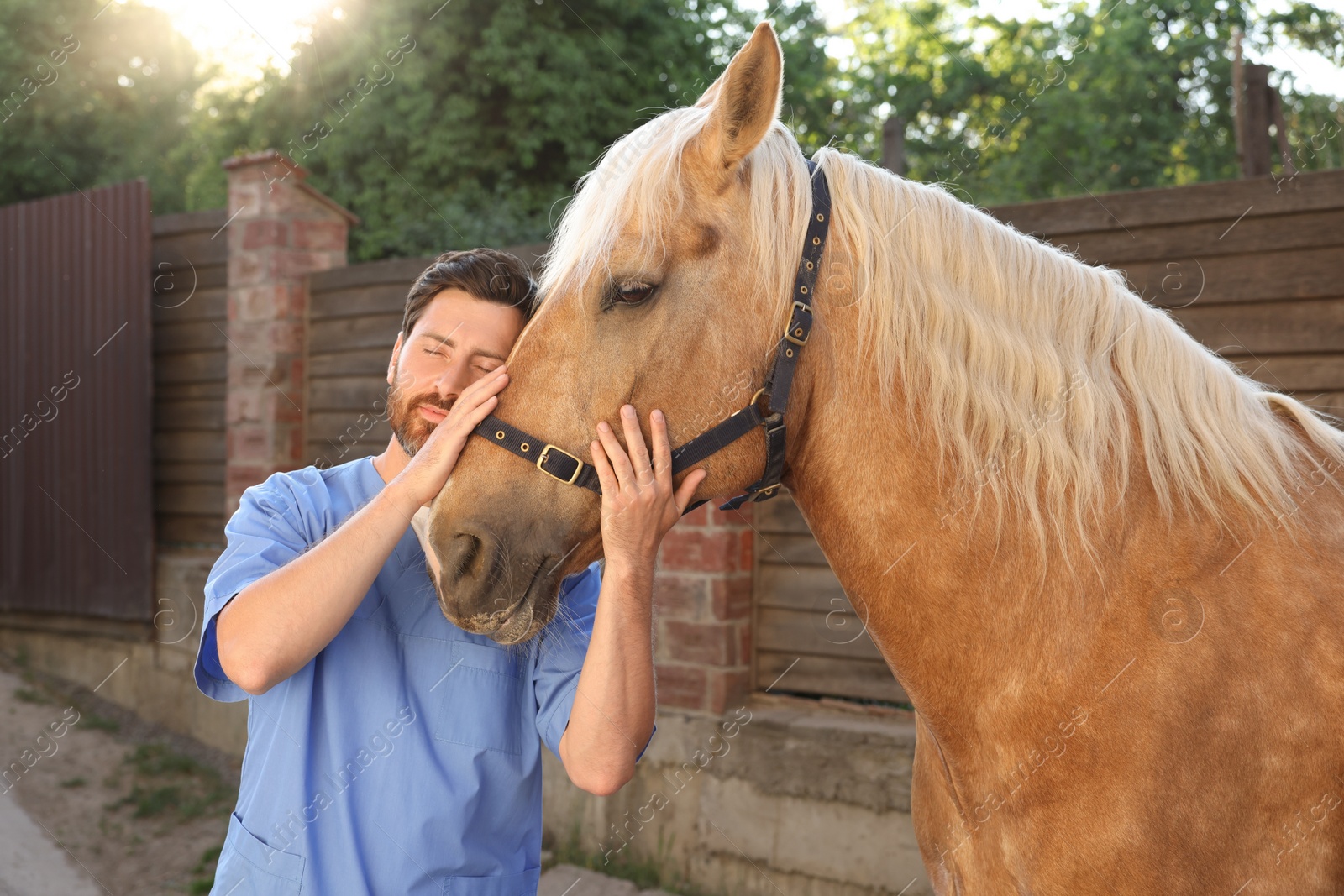 Photo of Veterinarian with adorable horse outdoors. Pet care