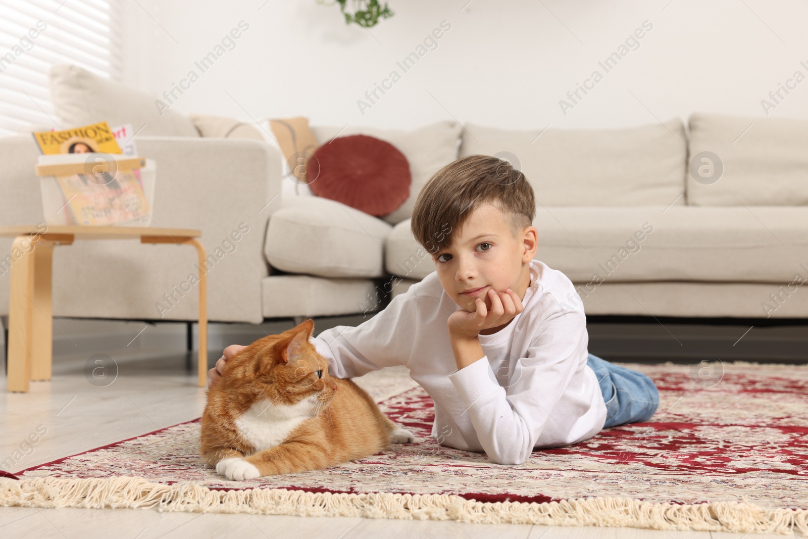 Photo of Little boy petting cute ginger cat on carpet at home