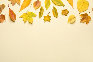 Photo of Flat lay composition with autumn leaves on beige background. Space for text