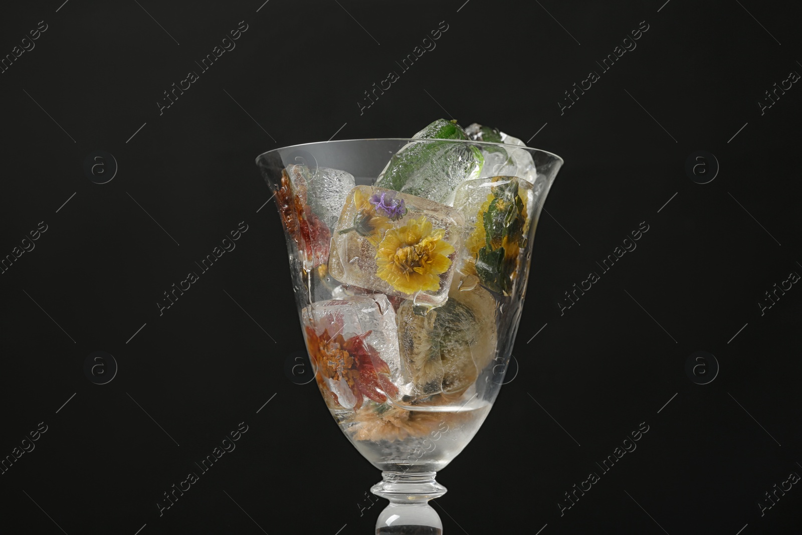 Photo of Glass of ice cubes with flowers on black background, closeup