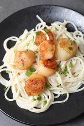 Delicious scallop pasta with green onion on grey table, closeup