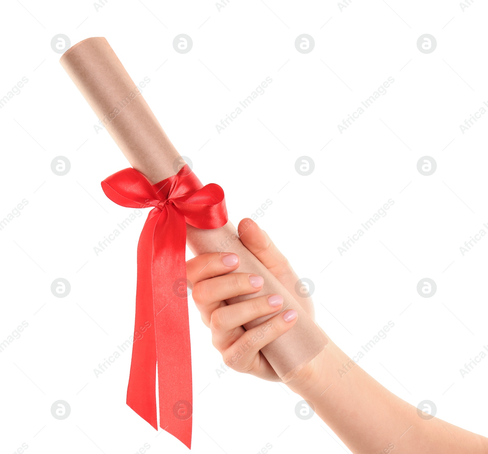 Photo of Student holding rolled diploma with red ribbon on white background, closeup