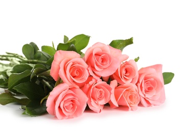 Photo of Bouquet of beautiful roses on white background