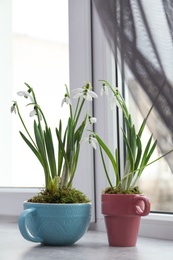 Photo of Beautiful potted snowdrops on light grey window sill