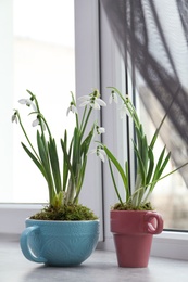 Beautiful potted snowdrops on light grey window sill