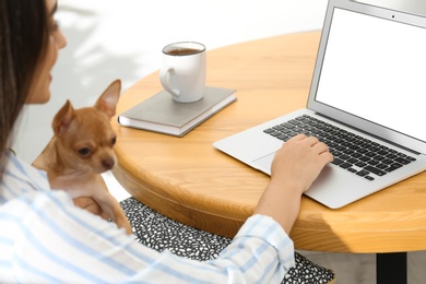 Photo of Young woman with chihuahua working on laptop at table, closeup. Home office concept