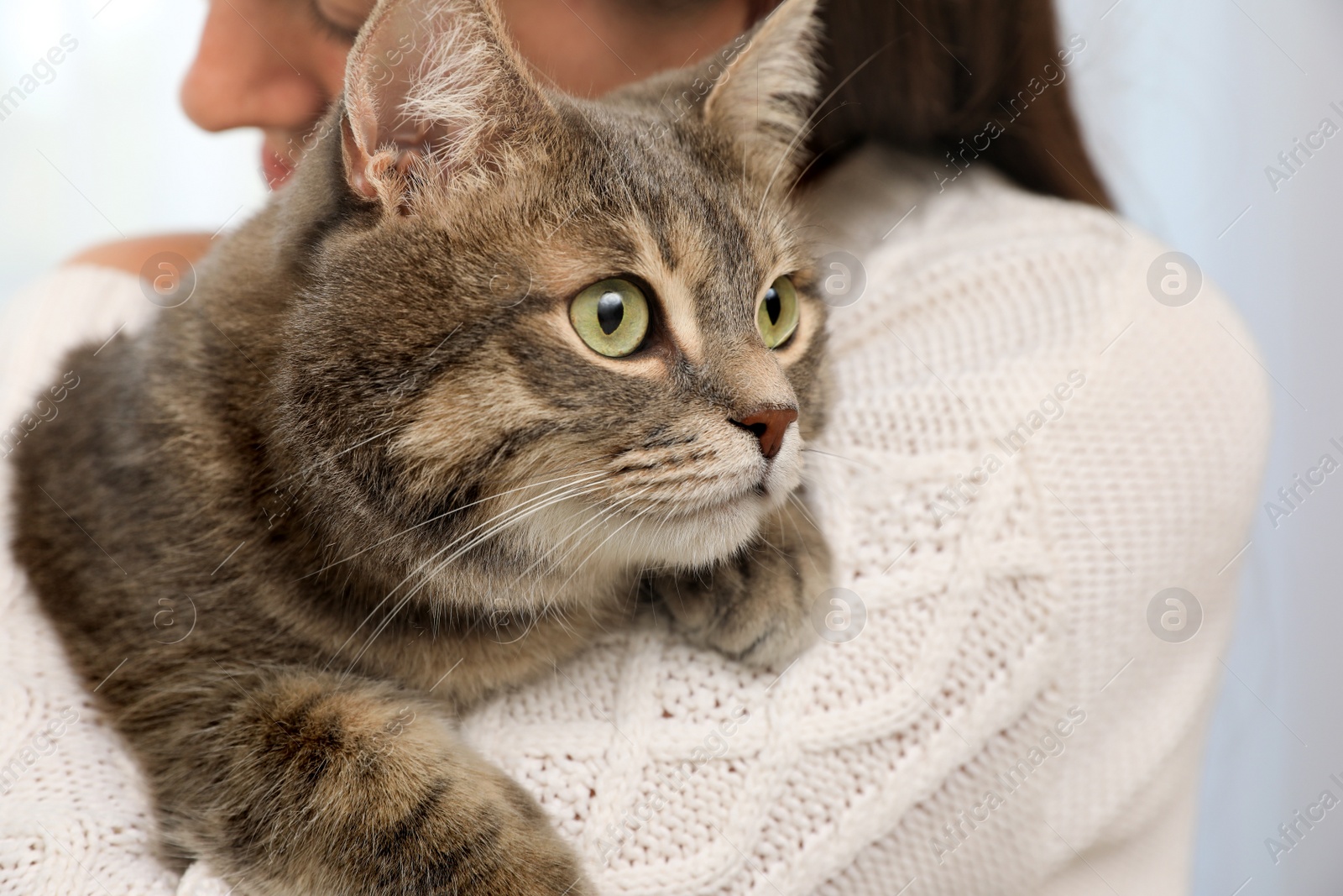 Photo of Woman holding her cat at home, closeup. Cute pet