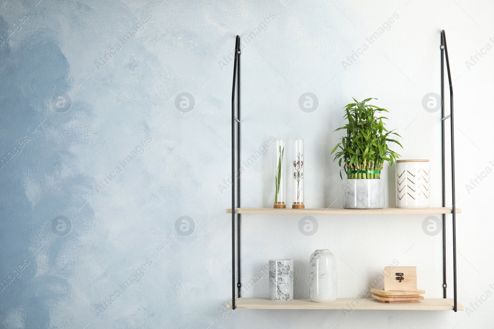 Photo of Shelves with green lucky bamboo in pot and decor on light wall. Space for text
