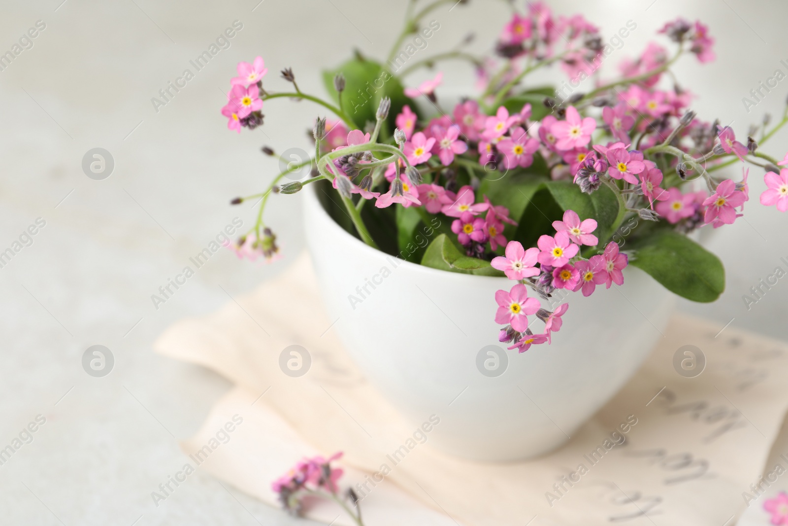 Photo of Beautiful pink forget-me-not flowers with cup on light stone table, closeup. Space for text