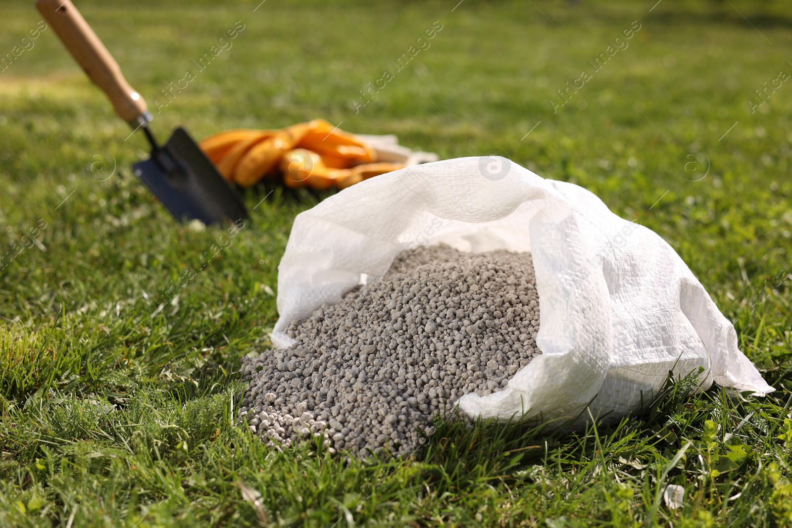 Photo of Granulated fertilizer in sack on green grass outdoors, closeup. Space for text