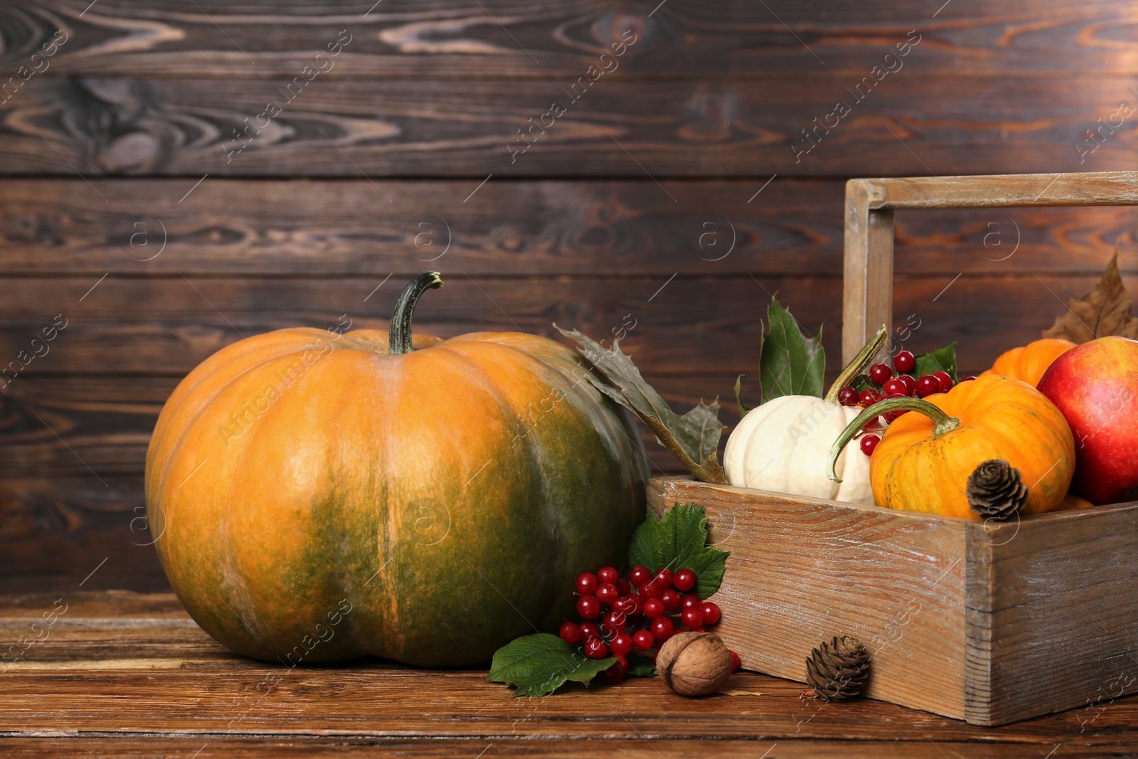 Photo of Happy Thanksgiving day. Composition with pumpkins, berries and pine cones on wooden table