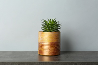 Photo of Beautiful houseplant in tin can on grey stone table