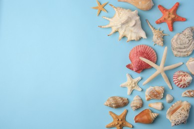 Beautiful starfishes, sea shells and stone on light blue background, flat lay. Space for text
