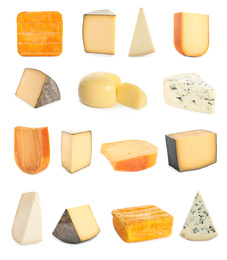 Set with different sorts of cheese on white background