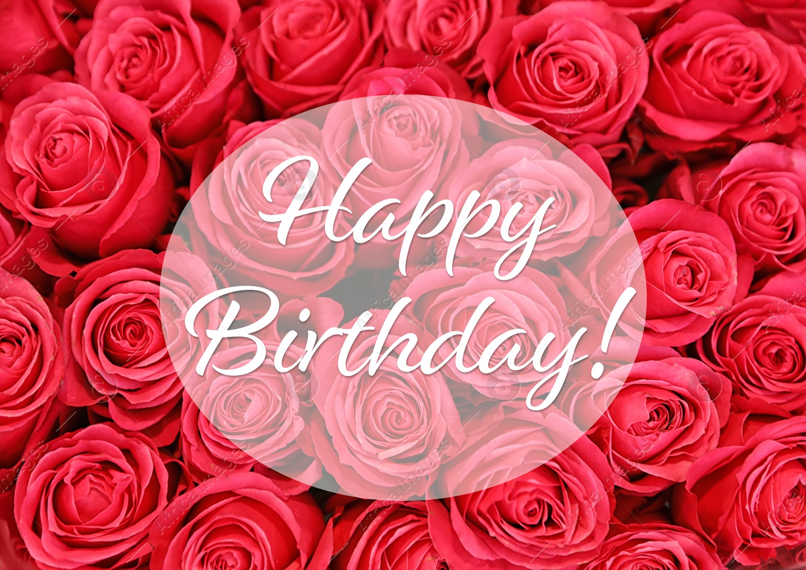 Image of Happy Birthday! Beautiful red roses as background, top view