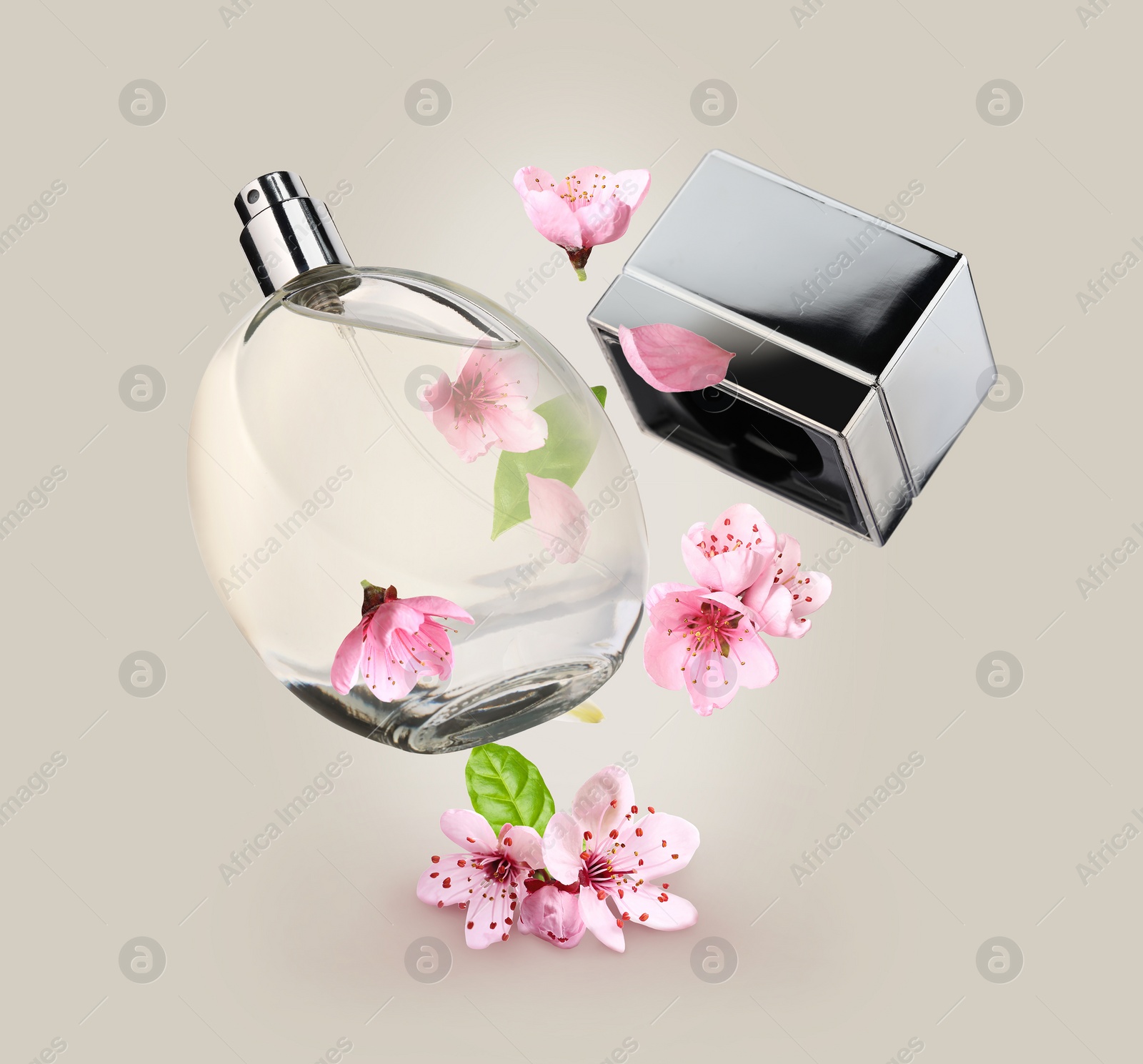 Image of Bottle of perfume and sakura flowers in air on greyish beige background