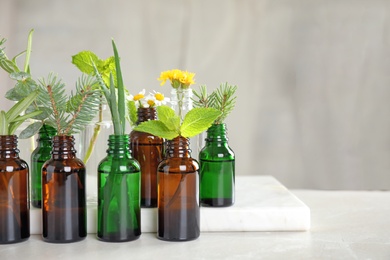 Glass bottles of different essential oils with plants on table. Space for text