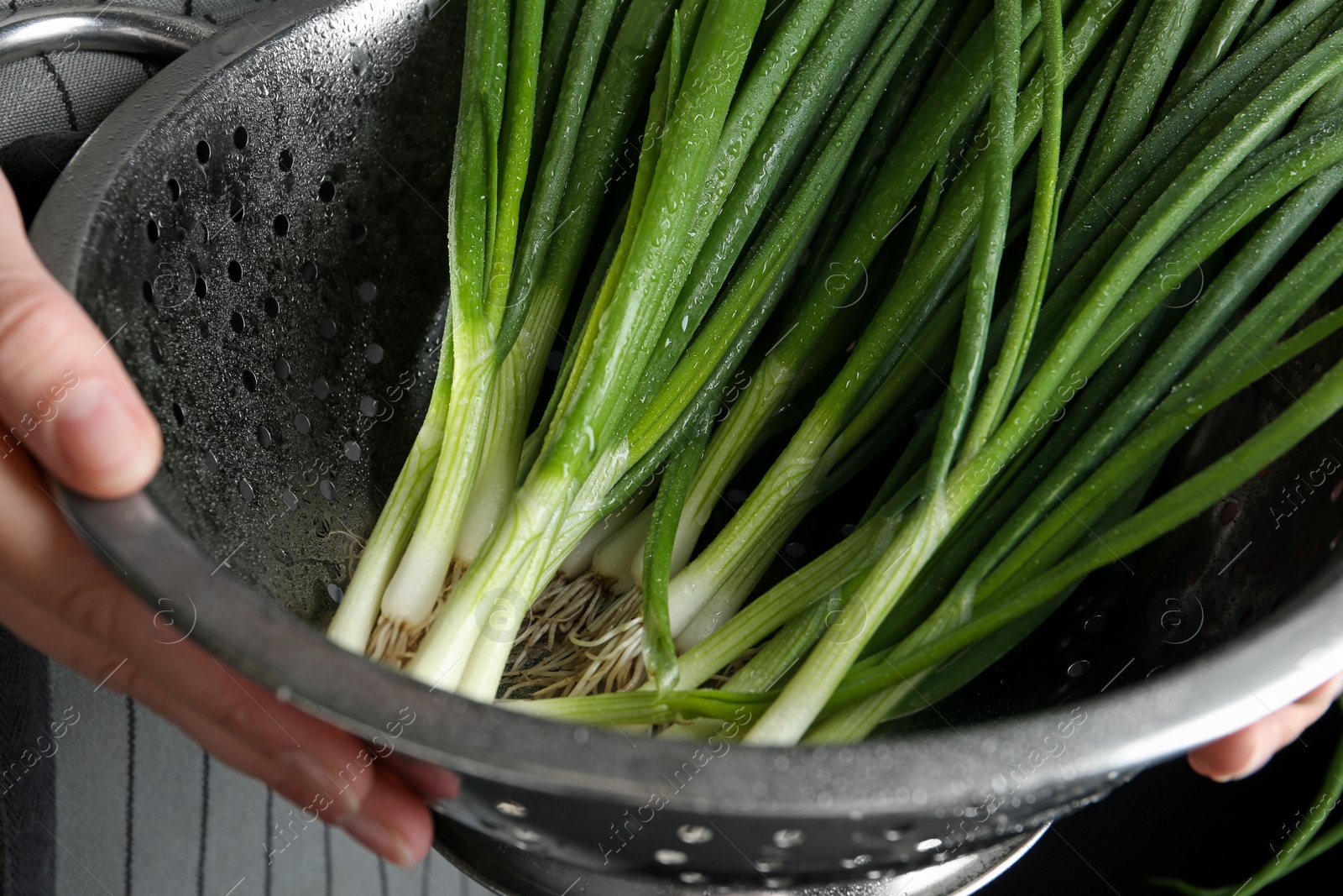 Photo of Woman holding colander with green spring onions, closeup