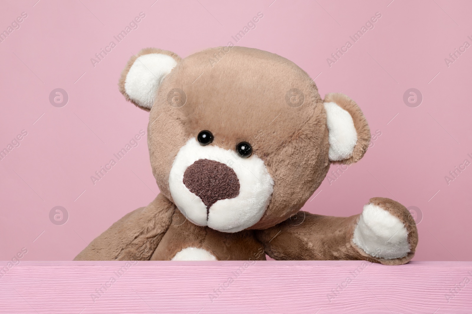 Photo of Cute teddy bear behind wooden plank on pink background