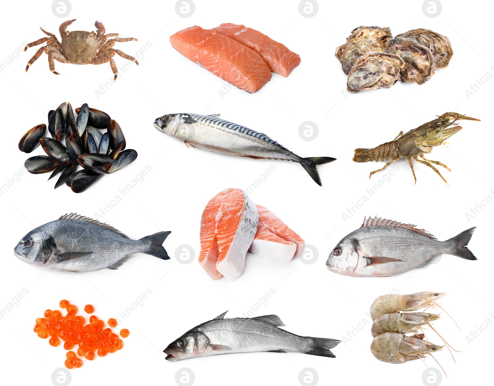 Image of Dorado fish and other seafood isolated on white, set