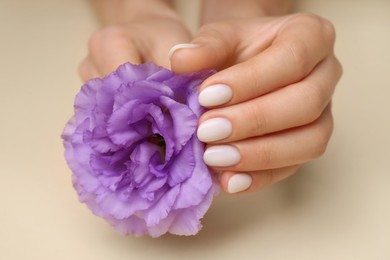 Woman with white nail polish holding violet eustoma flower on beige background, closeup