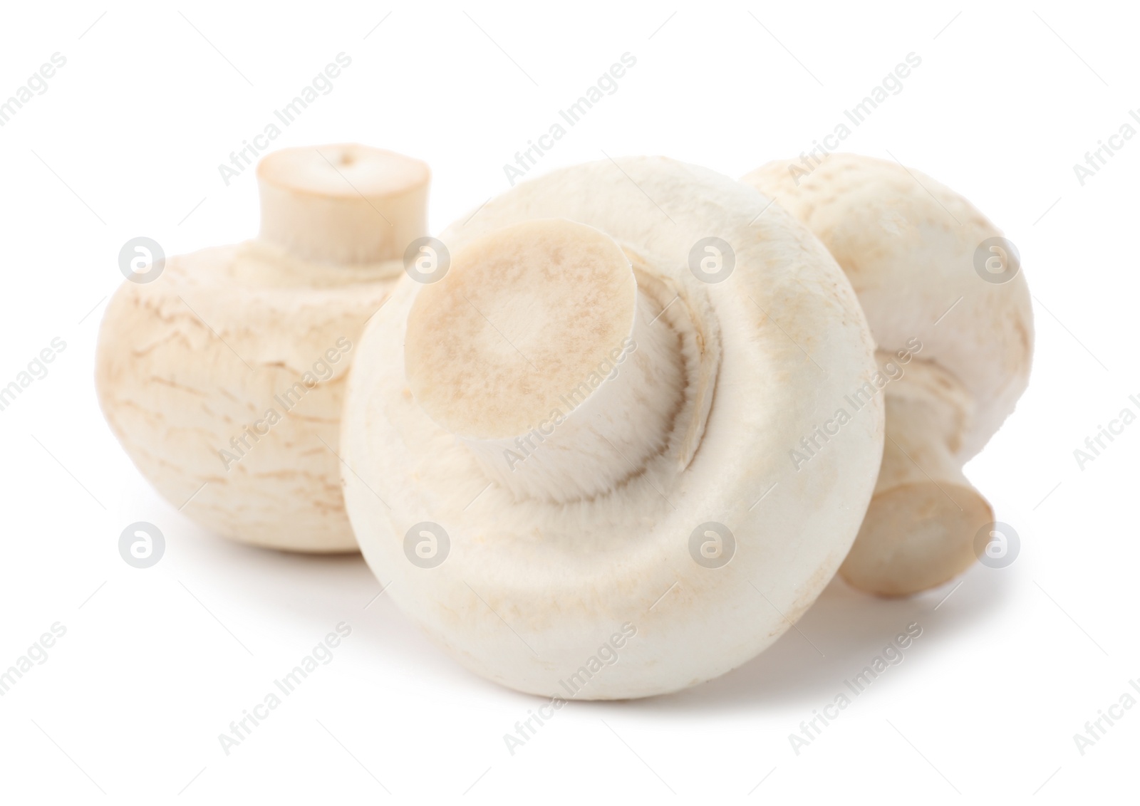 Photo of Fresh raw champignon mushrooms on white background