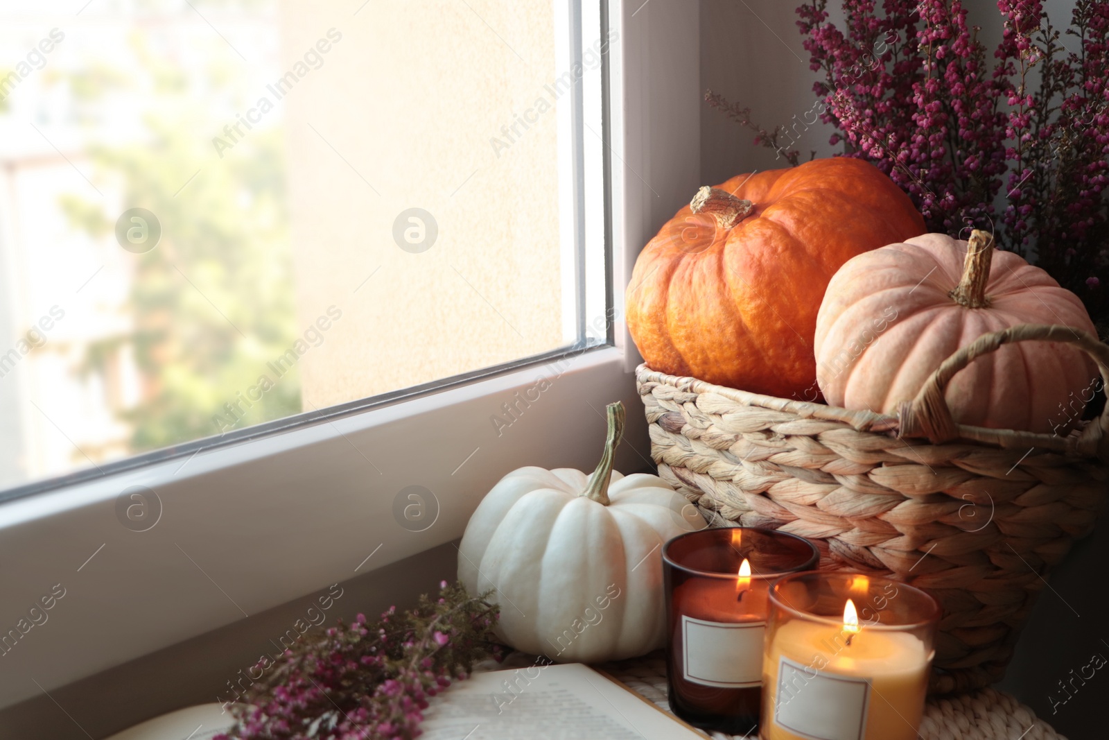 Photo of Beautiful heather flowers, burning candles, open book and wicker basket with pumpkins near window indoors. Space for text