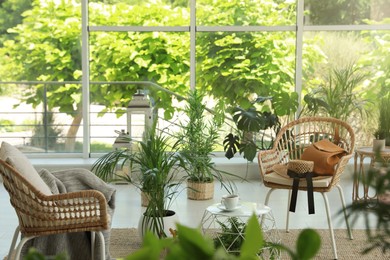 Photo of Indoor terrace interior with elegant furniture and houseplants