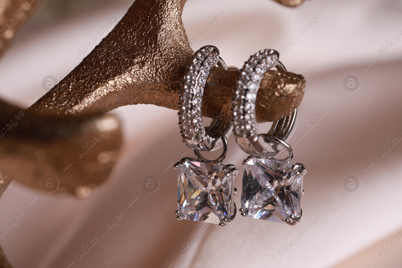 Photo of Elegant jewelry. Stylish presentation of luxury earrings on holder, closeup