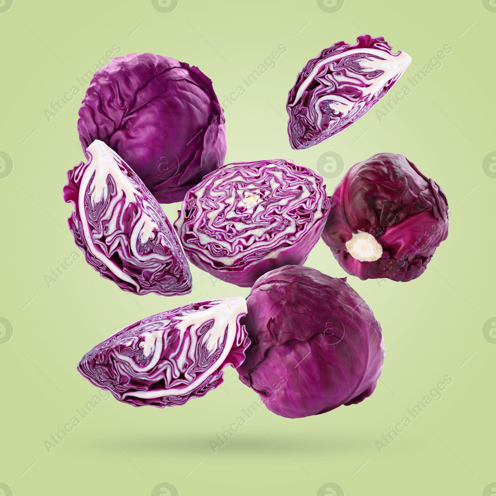 Image of Fresh whole and cut red cabbages falling on pale light green background