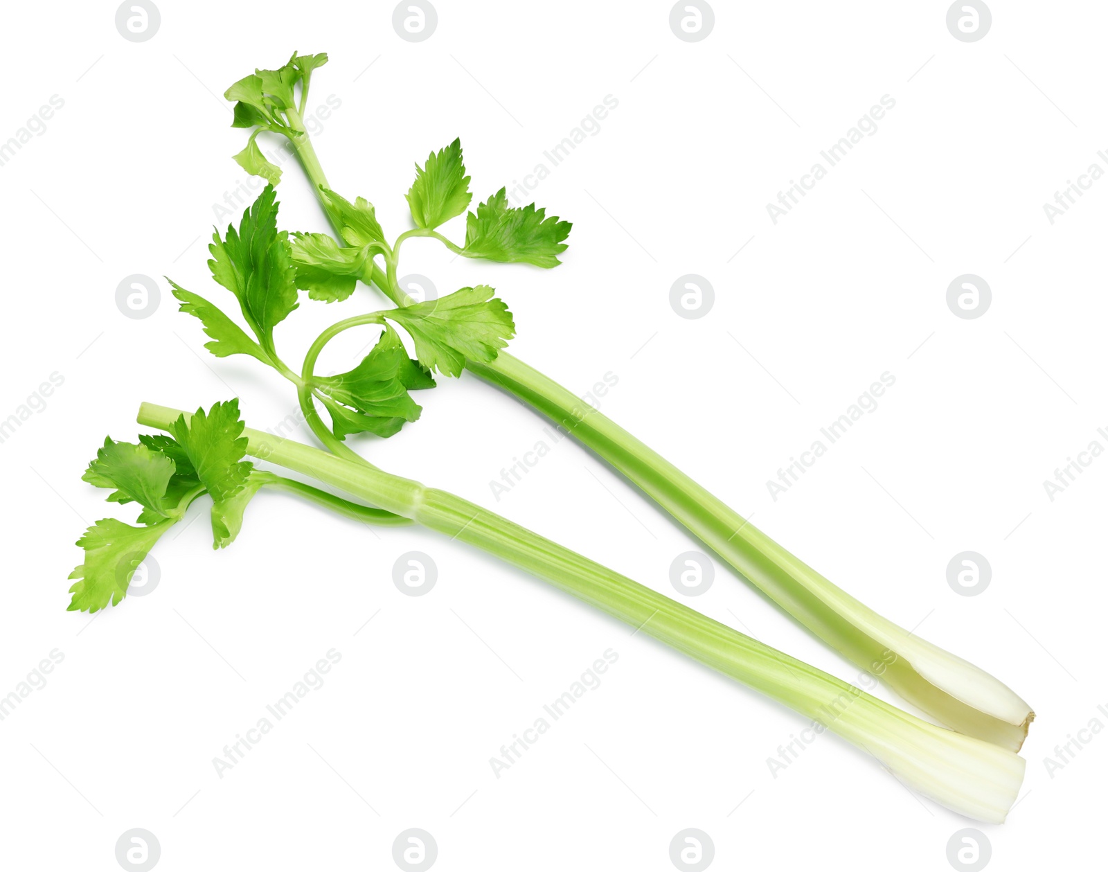 Photo of Fresh stalks of celery isolated on white, top view