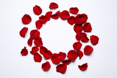 Photo of Round frame of beautiful red rose petals on white background, top view. Space for text