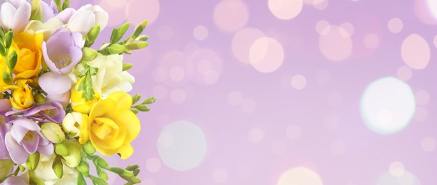 Image of Bouquet of beautiful freesia flowers on lilac background, space for text. Banner design