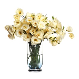 Photo of Beautiful Eustoma flowers in vase isolated on white