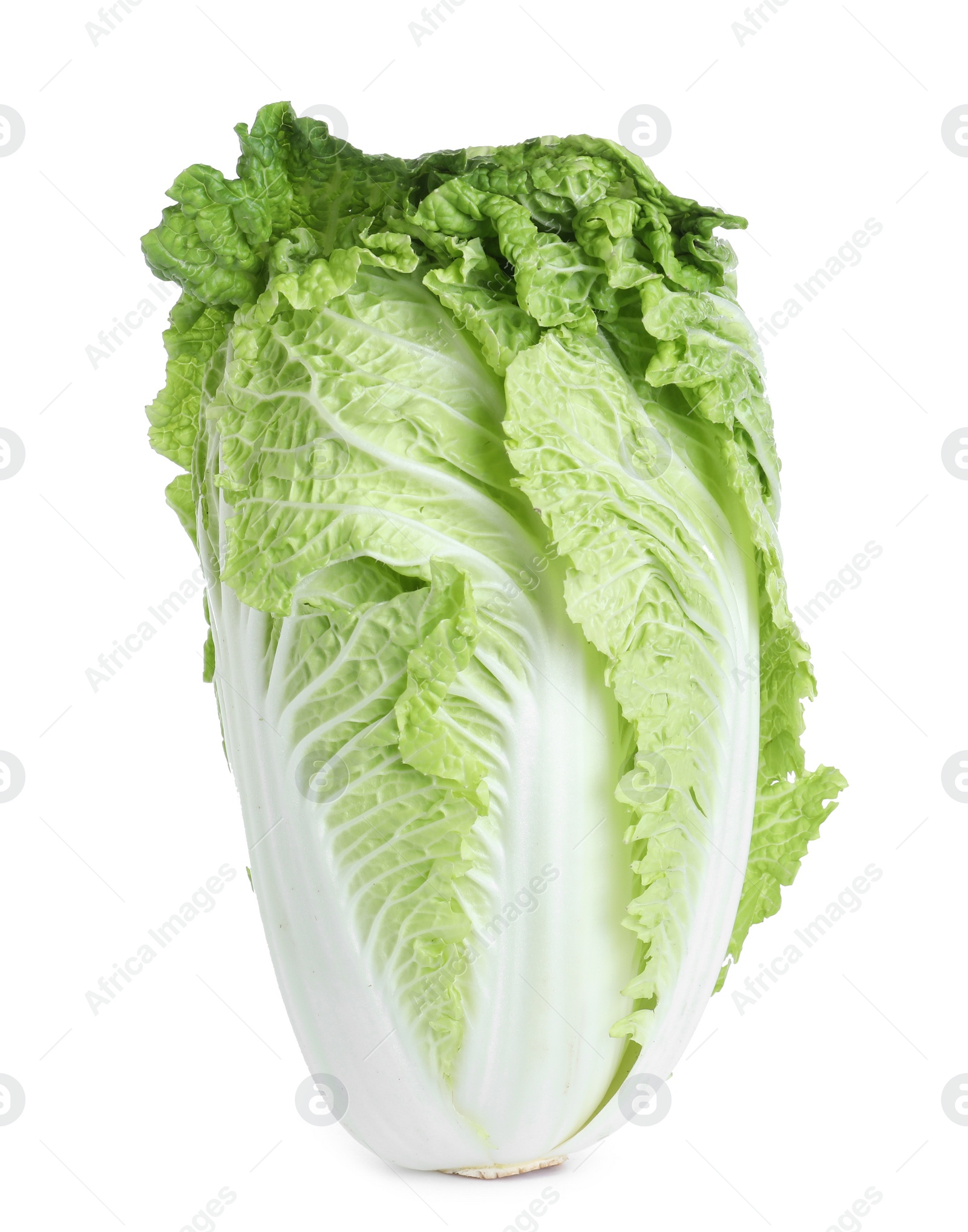 Photo of Fresh ripe Chinese cabbage isolated on white