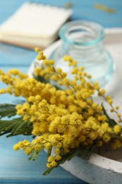 Photo of Beautiful mimosa flowers on light blue wooden table, closeup