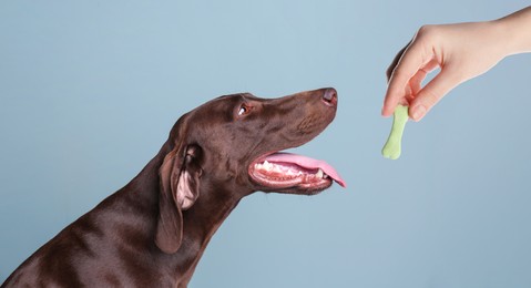 Image of Woman giving tasty bone shaped cookie to her dog on light blue background, closeup