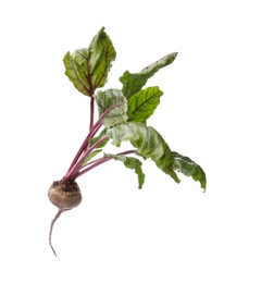 Photo of Fresh beet with leaves on white background