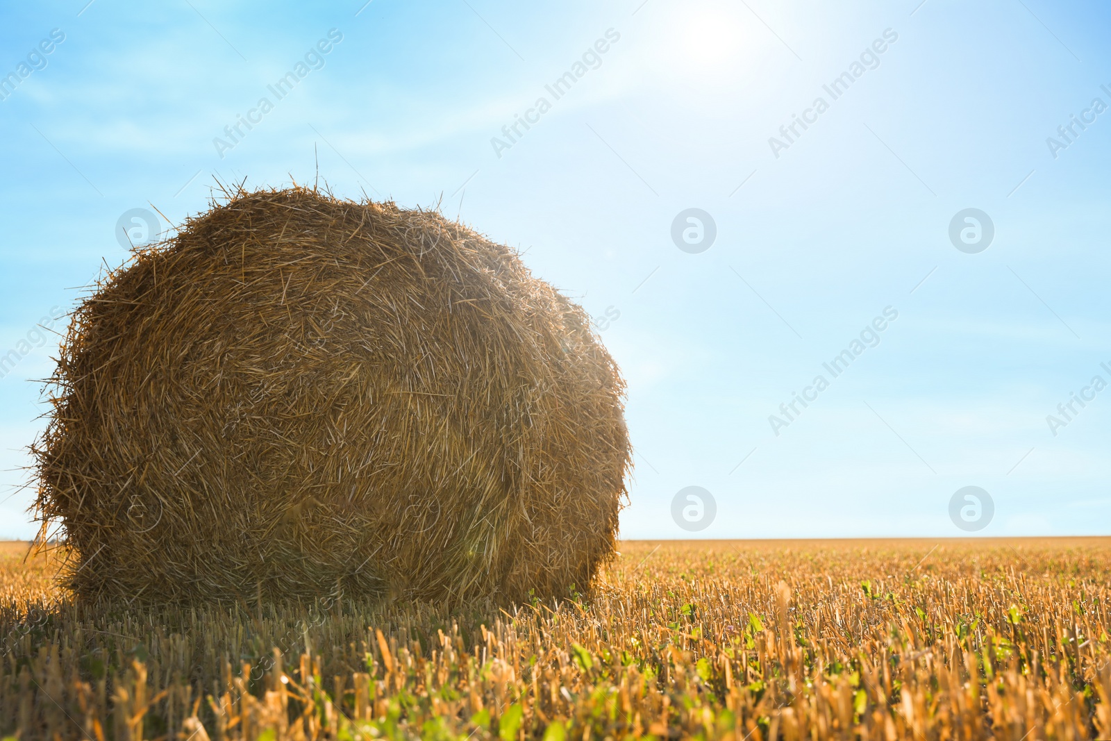 Photo of Round rolled hay bale in agricultural field on sunny day