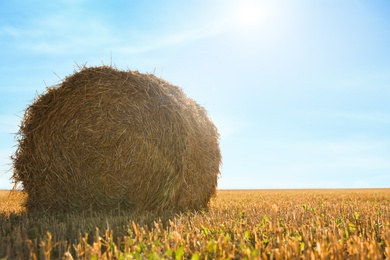 Photo of Round rolled hay bale in agricultural field on sunny day