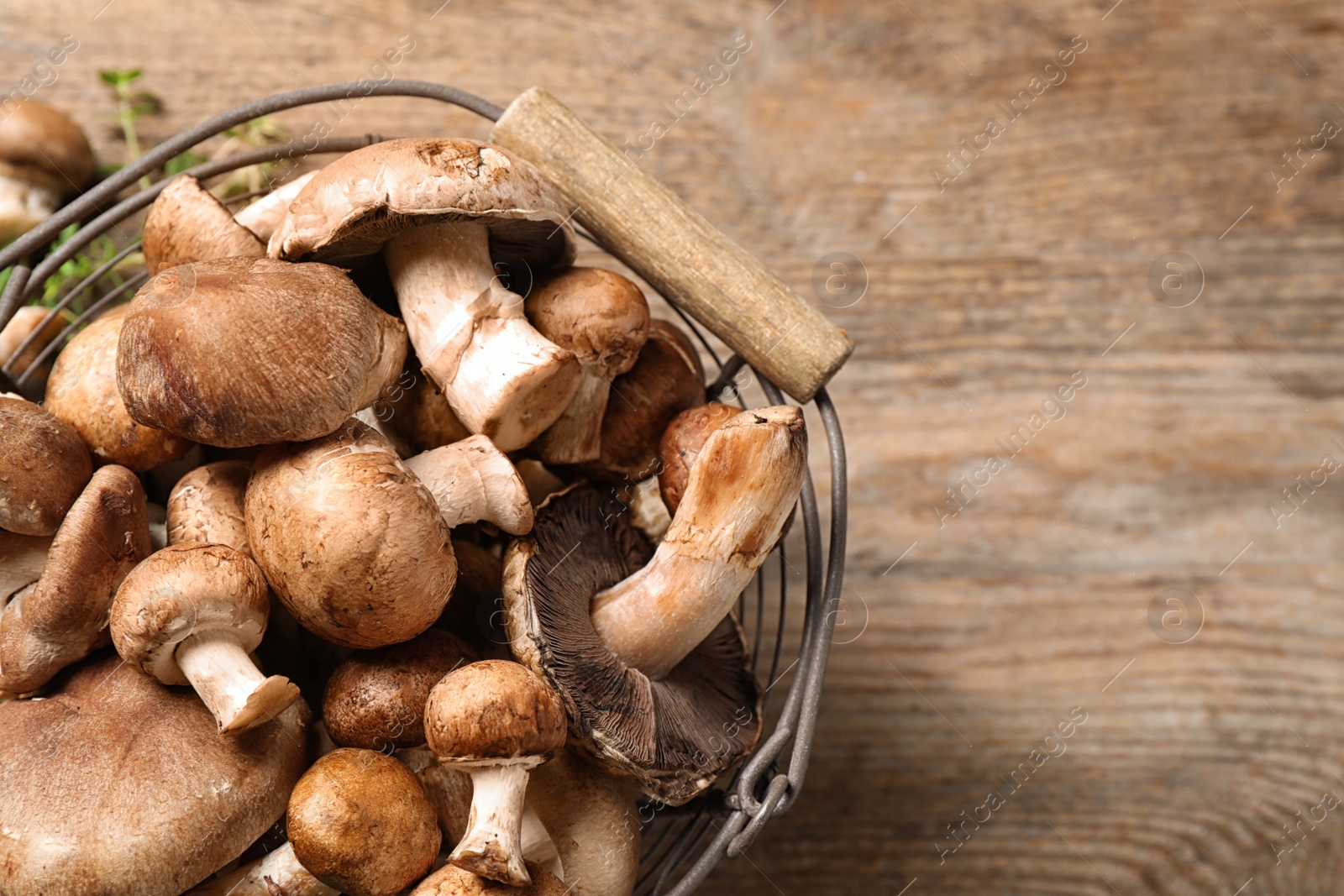 Photo of Different wild mushrooms in metal basket on wooden background, above view