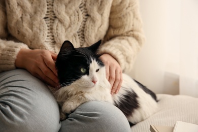 Photo of Woman stroking adorable cat in room, closeup
